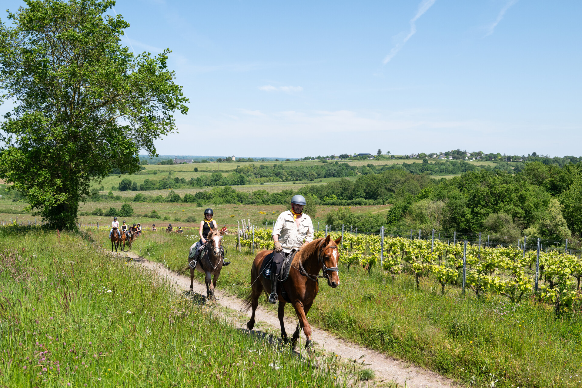 Location Château Sainte Radegonde : équitation, balade à cheval