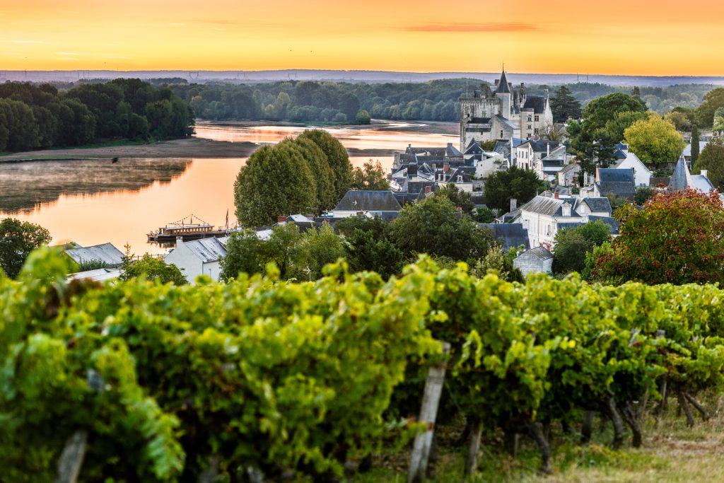 Location Château Sainte Radegonde : visitez Montsoreau, Fontevraud, Souzay Champigny