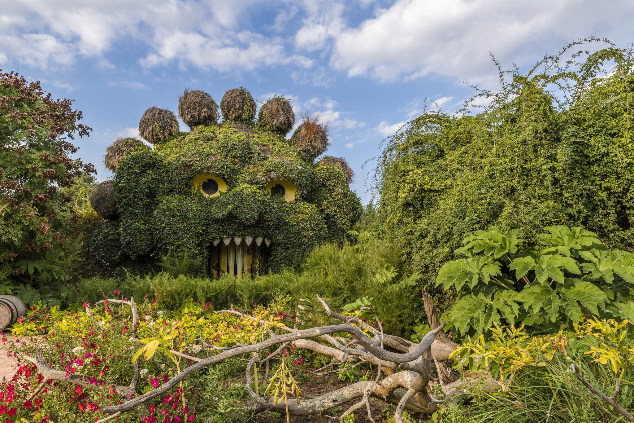 Location Château Sainte Radegonde : Visite Terra botanical à Angers