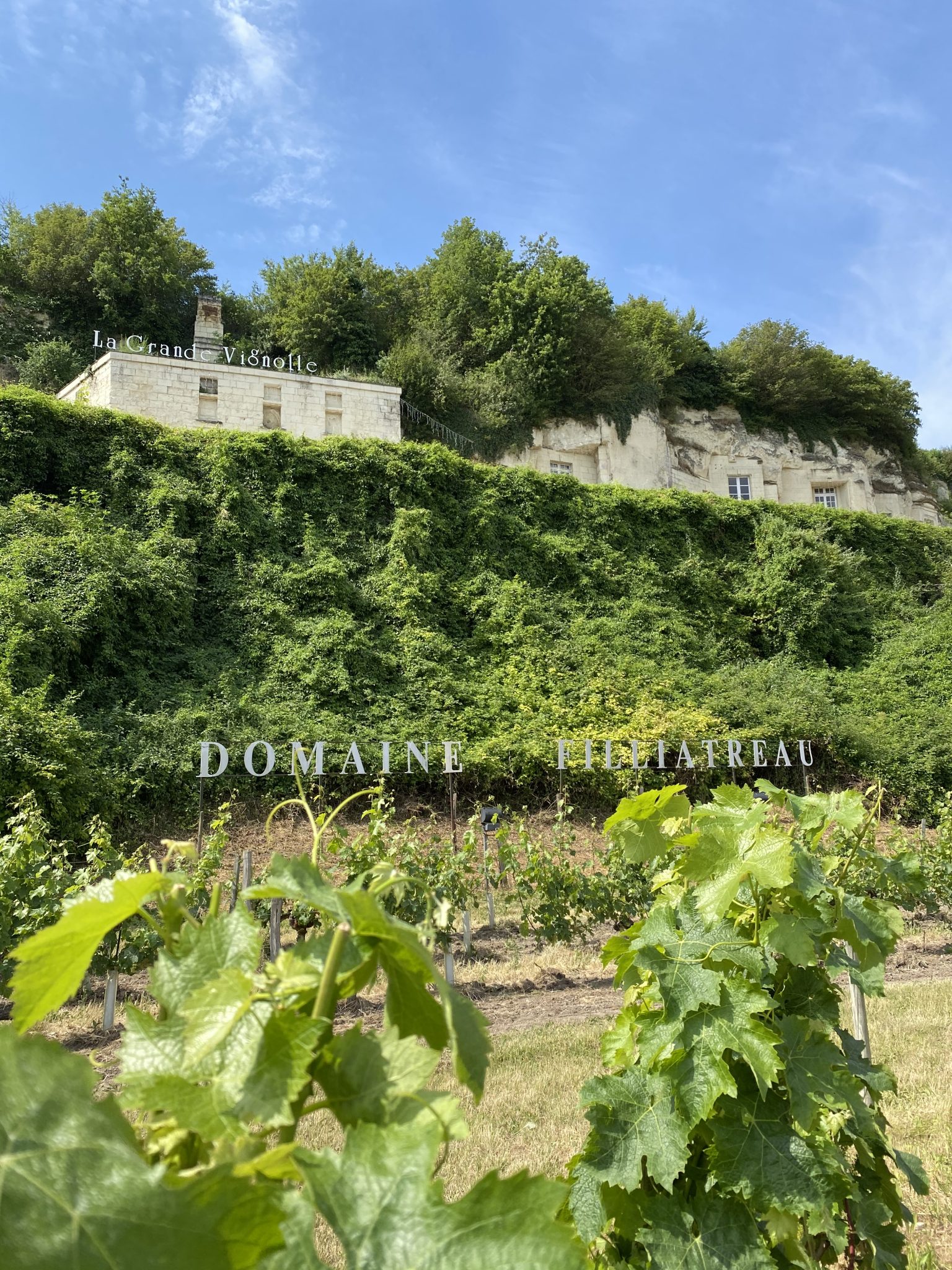 Grands Gite de groupe à Saumur et Angers : vignobles et visites de caves